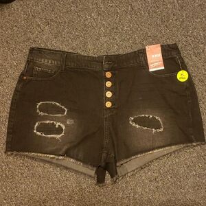 Arizona Jean Company Black Distressed Jean Shorts